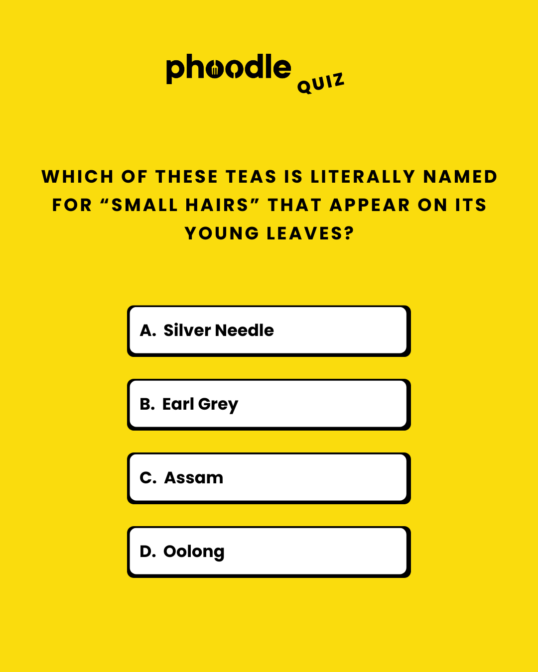 Phoodle Answer Today Oct, 09 2025