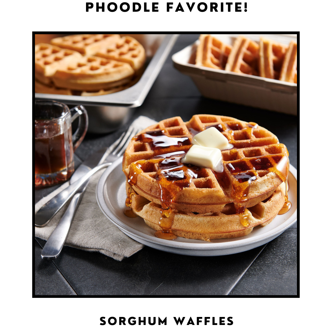 Phoodle Answer Today Jun, 16 2025