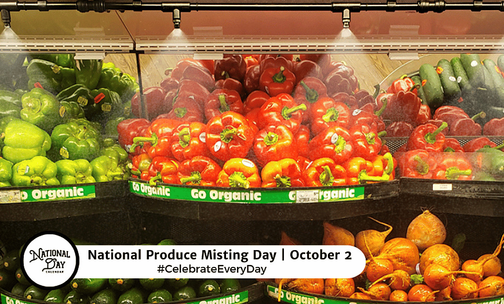 Phoodle Answer Today Oct, 02 2026