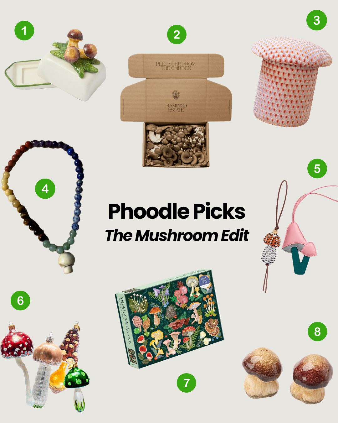 Phoodle Answer Today Nov, 21 2025