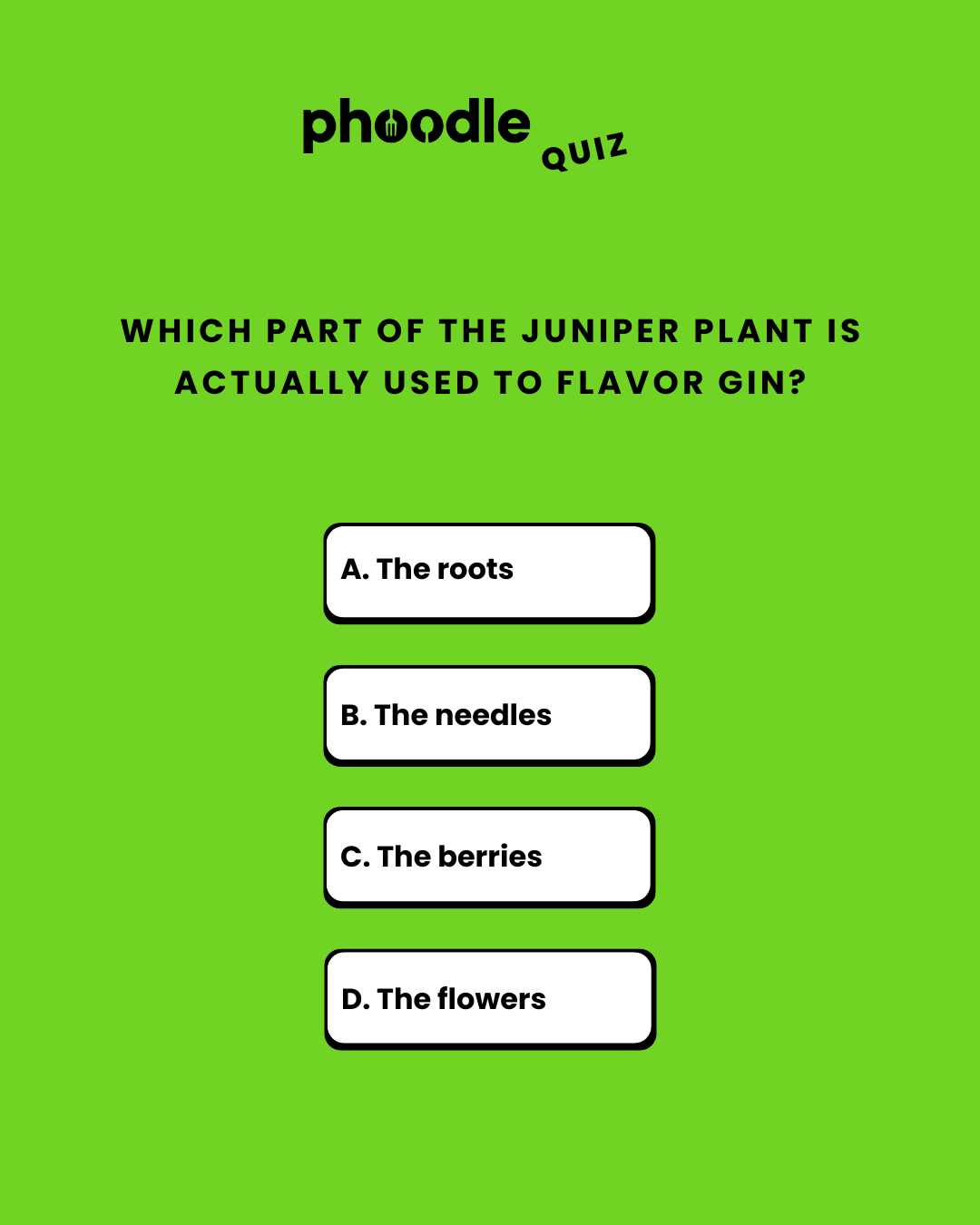Phoodle Answer Today Jun, 13 2026
